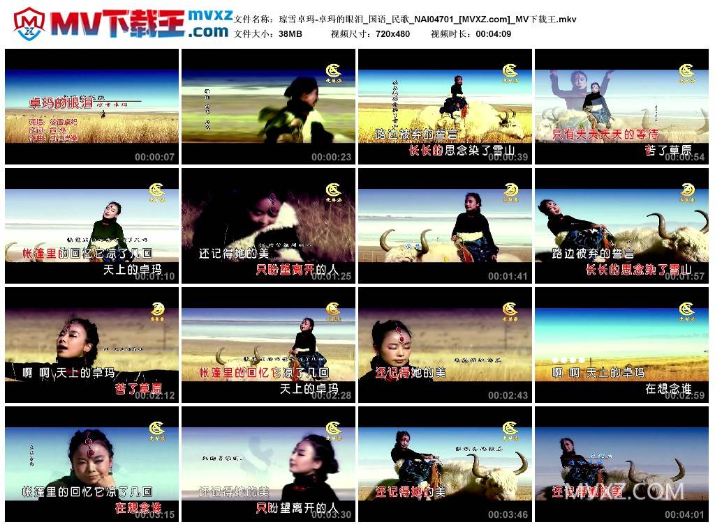 琼雪卓玛-卓玛的眼泪_国语_民歌_NAI04701